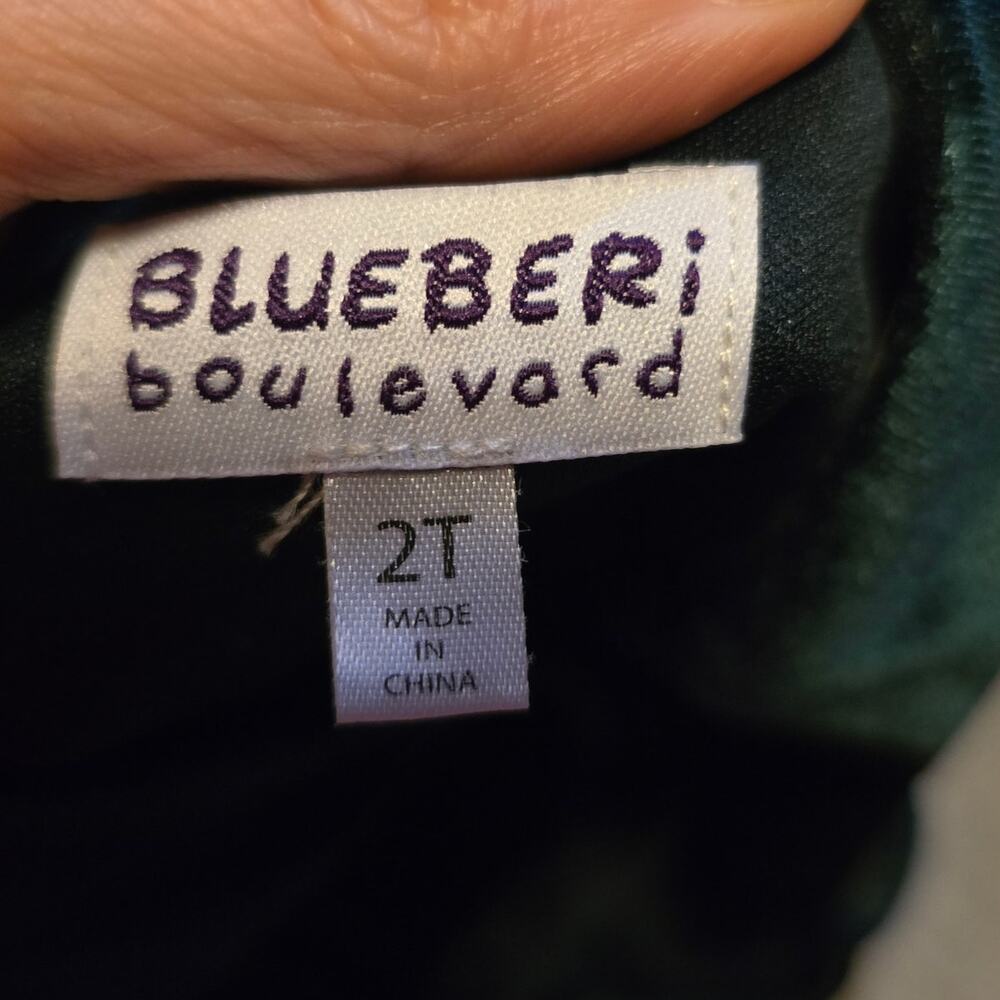 Blueberi Boulavard green velvet dress 2t - Picture 4 of 5